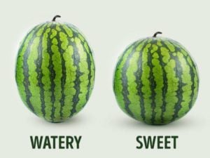 ’Boy and girl Watermelons